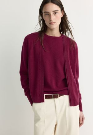09198 6681 DARK PLUM